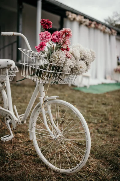 Selectivo Flores Rosadas Cesta Delantera Una Bicicleta — Foto de Stock