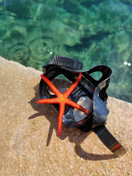 Een Bovenaanzicht Van Een Rode Zeester Een Zwembril Bij Het — Stockfoto