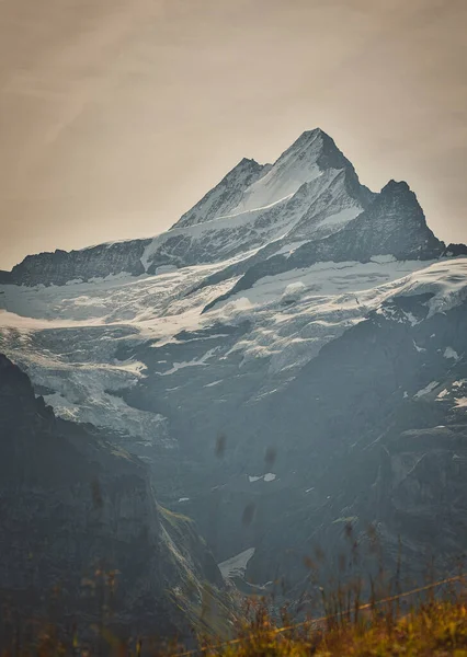 Tiro Vertical Dos Belos Picos Montanha Suíça — Fotografia de Stock