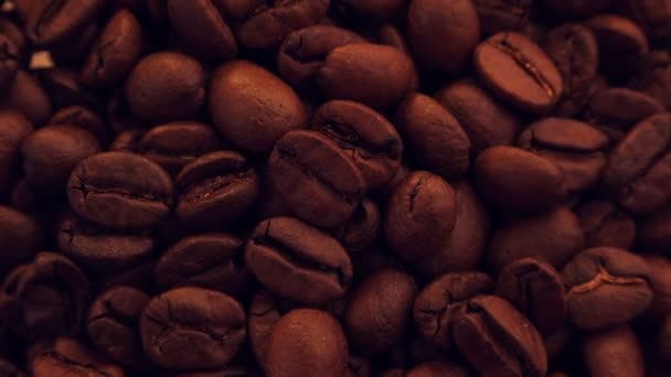 Kahve Çekirdekleri Yakın — Stok video