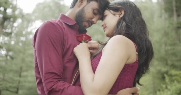 在公园拥抱的一对印度夫妇 — 图库视频影像
