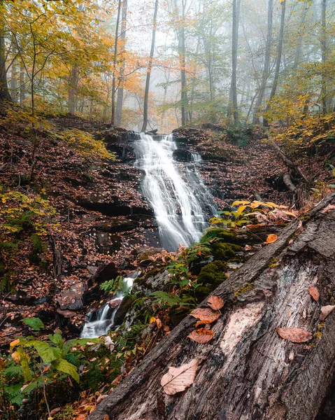 Svislý Záběr Krásného Vodopádu Lese — Stock fotografie