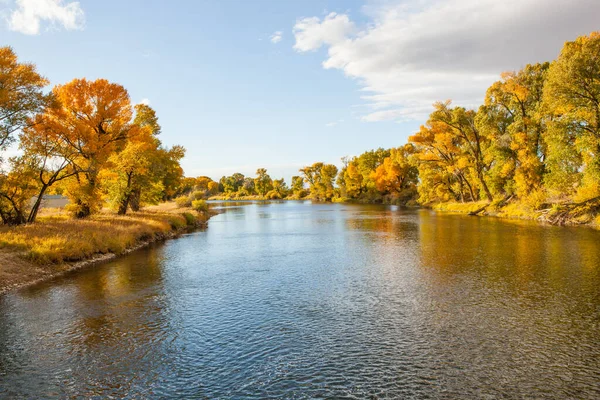 Malebný Pohled Řeku Lemovanou Žlutými Podzimními Stromy Národním Lese Medicine — Stock fotografie