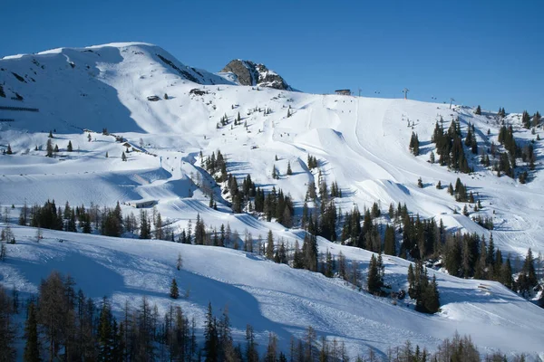 Una Vista Panorámica Los Abetos Las Montañas Cubiertas Nieve Invierno —  Fotos de Stock