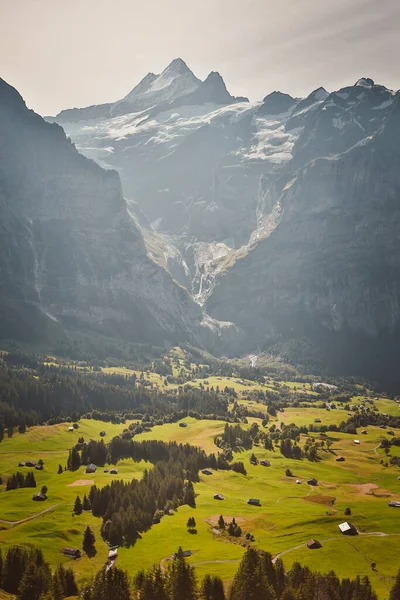 Vertikal Bild Vackra Bergstopparna Med Den Gröna Vallen Schweiz — Stockfoto