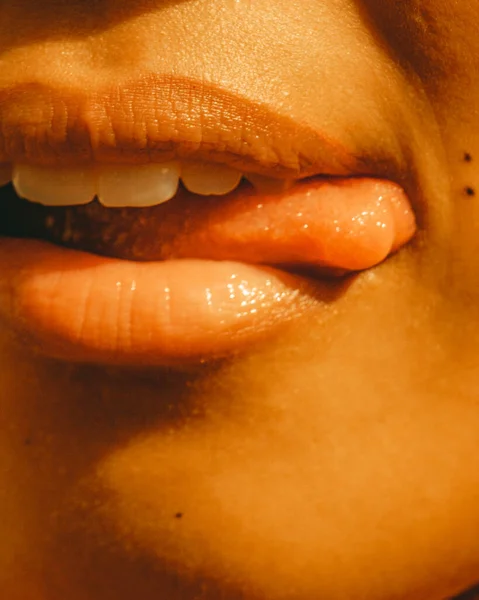 Pionowe Zbliżenie Ujęcia Samicy Liżącej Herm Usta — Zdjęcie stockowe