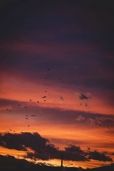 Pionowe Ujęcie Pięknego Zachodu Słońca Niebo Pomarańczowym Blaskiem — Zdjęcie stockowe