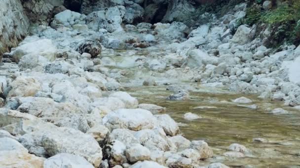 Pionowe ujęcie skał w strumieniu płynącej wody — Wideo stockowe