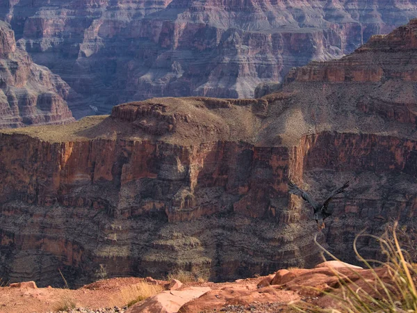Uma Paisagem Guano Point Grand Canyon Luz Dia Arizona Eua — Fotografia de Stock