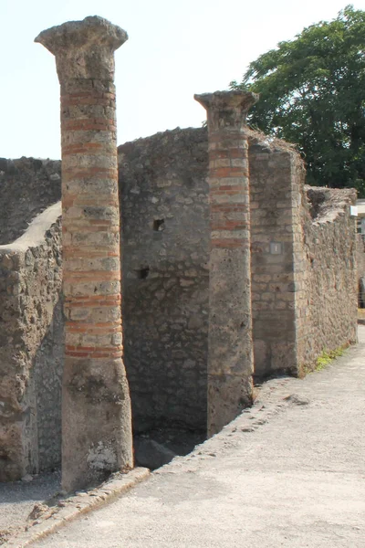 Uma Foto Vertical Parque Arqueológico Paestum Itália Durante Dia — Fotografia de Stock