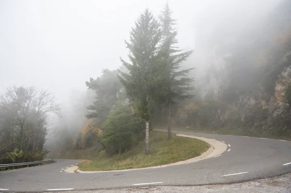 Gyönyörű Kilátás Útra Egy Erdőben Nagy Fákkal Egy Ködös Napon — Stock Fotó
