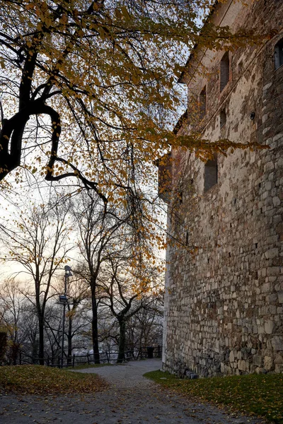 Eine Landschaftliche Aufnahme Eines Alten Gebäudes Das Von Einem Herbstlichen — Stockfoto