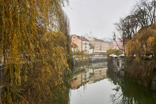 建物や木々に囲まれた街を流れる川の風景 — ストック写真