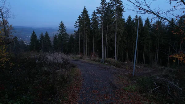 Vakkert Bilde Veien Landskapet Eng Full Trær – stockfoto