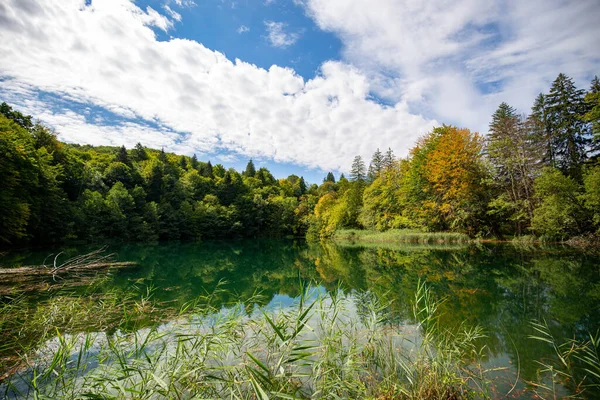 Сонячний День Національному Парку Плітвіцькі Озера Хорватія Можна Милуватися Буйною — стокове фото