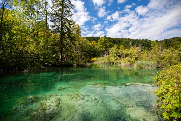Hırvatistan Güneşli Bir Gününde Plitvice Gölleri Ulusal Parkı Nda Bereketli — Stok fotoğraf