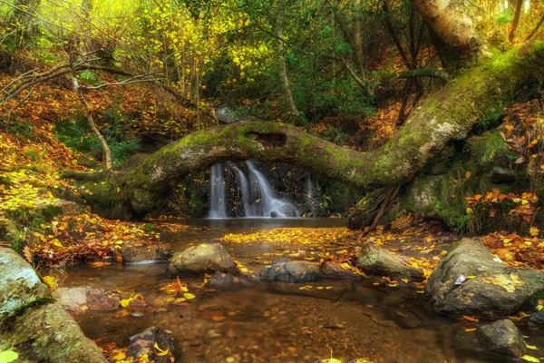 Uma Bela Vista Uma Cachoeira Floresta Outono — Fotografia de Stock