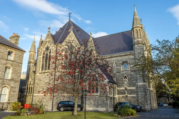 Dublín Irlanda Nov 2021 Hermoso Árbol Rojo Frente Iglesia Histórica —  Fotos de Stock