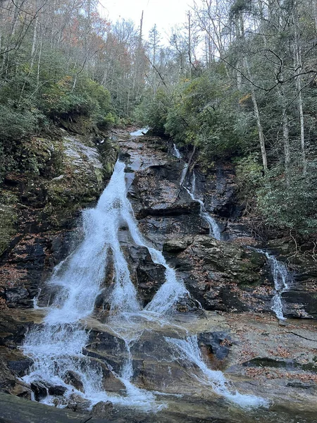 Disparo Vertical Una Cascada Medio Bosque —  Fotos de Stock