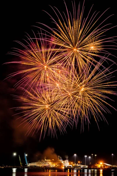 Vertical Shot Scenic View Beautiful Fireworks Night Sky — Stock Photo, Image