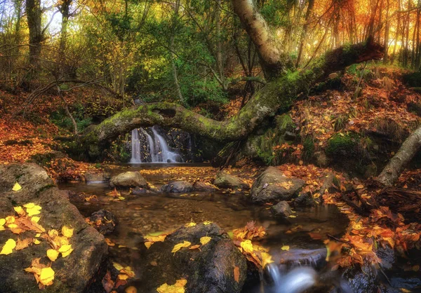 Een Prachtig Uitzicht Een Waterval Het Bos Herfst — Stockfoto