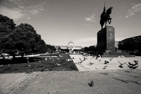 Plan Niveaux Gris Cavalier Devant Une Gare Principale Zagreb Croatie — Photo