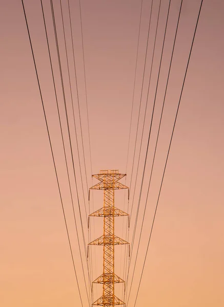 Coup Vertical Poteau Haute Tension Avec Des Câbles Heure Dorée — Photo