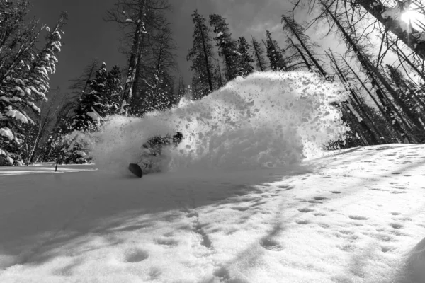 Piękny Widok Snowboardzisty Jadącego Przez Proch — Zdjęcie stockowe