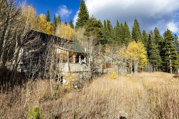 乾燥した芝生と曇った空に対して高密度の緑の木の村の古い家 — ストック写真