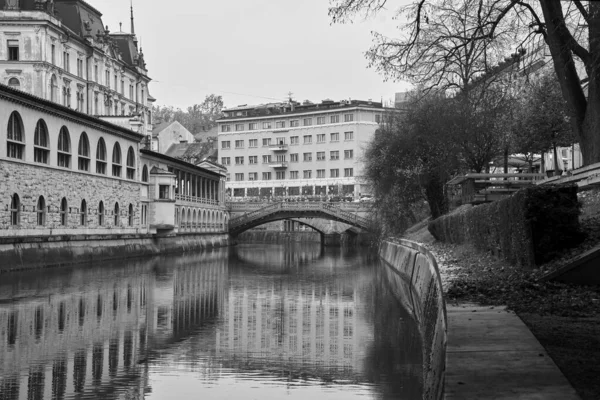 Řeka Která Prochází Městem Obklopená Budovami Stromy Černobílých Barvách — Stock fotografie