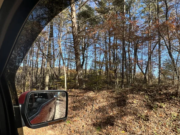 Beau Cliché Une Voiture Arbres Poussant Dans Forêt Pendant Journée — Photo