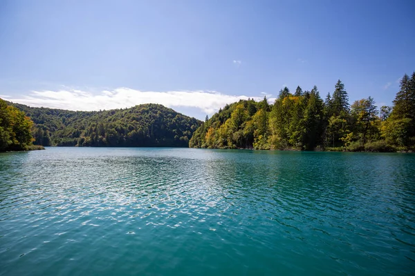 Una Vista Panoramica Della Natura Lussureggiante Nel Parco Nazionale Dei — Foto Stock