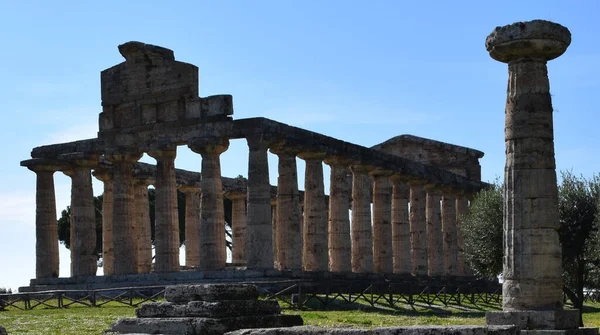 Archeologický Park Paestum Itálii Denního Světla — Stock fotografie