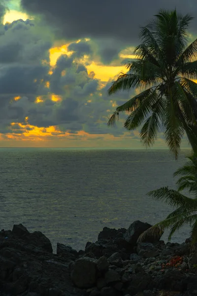 Vista Panorámica Del Atardecer Con Palmeras Playa Tropical — Foto de Stock