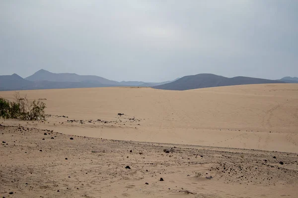 Een Prachtig Uitzicht Woestijnduinen Een Sombere Dag — Stockfoto
