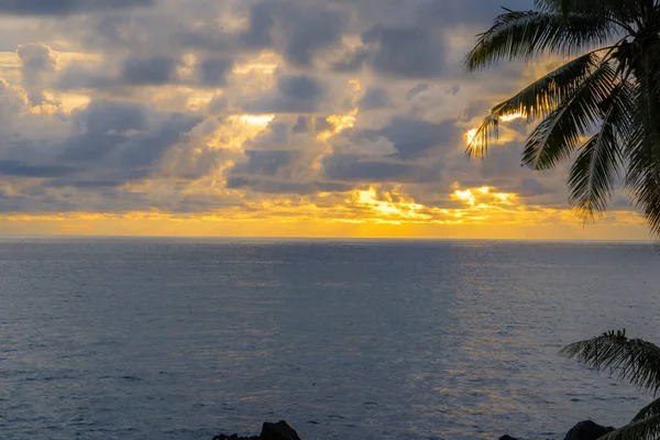 Krásný Západ Slunce Nad Mořem Tropické Pláži Palmami Barevnou Oblohou — Stock fotografie