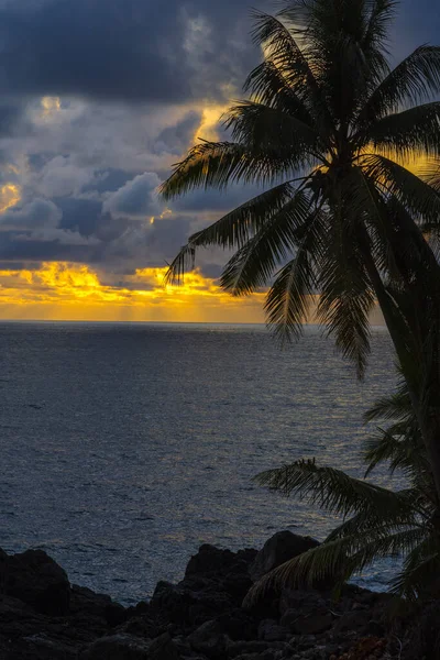 Hermosa Puesta Sol Sobre Mar Playa Tropical Con Palmera Cielo — Foto de Stock