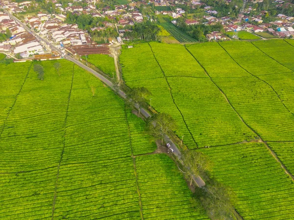 Tiro Aéreo Del Campo Verde Con Caminos Que Conducen Ciudad — Foto de Stock