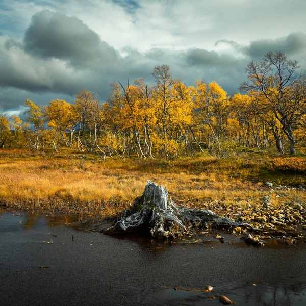 Piękne Ujęcie Kolorowej Jesieni Stuggudalen Górach Sylan Norwegia — Zdjęcie stockowe