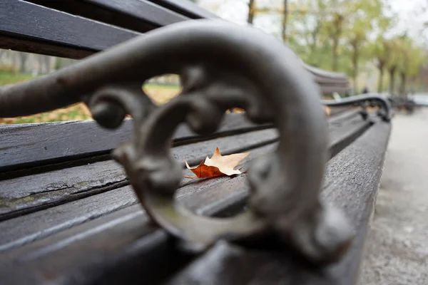 Ein Flaches Trockenes Herbstblatt Auf Der Einsamen Holzbank Park — Stockfoto