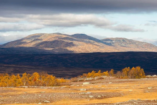 Piękne Zdjęcie Jesieni Stuggudalen Górach Sylan Norwegia — Zdjęcie stockowe