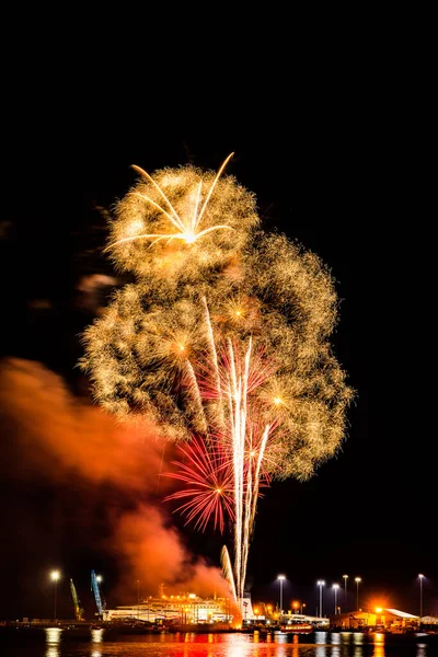 Vertical Shot Scenic View Beautiful Fireworks Night Sky — Stock Photo, Image