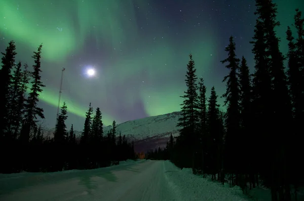 Eine Silhouettenaufnahme Der Schönen Nordlichter Über Dem Verschneiten Feld — Stockfoto