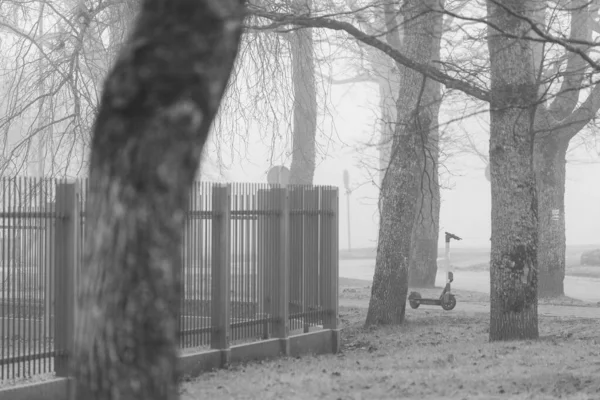 Туман Голі Дерева Громадському Парку — стокове фото
