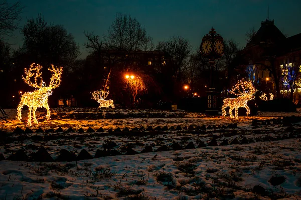 Les Cerfs Décoratifs Noël Avec Des Lumières Illuminées Dans Les — Photo