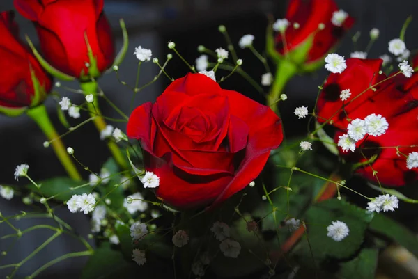 Közelkép Egy Csokorról Élénk Vörös Rózsákkal Apró Fehér Virágokkal — Stock Fotó