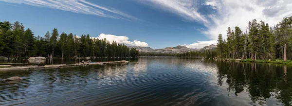 Malebný Záběr Padlého Listového Jezera Které Prochází Lesem Kalifornii — Stock fotografie