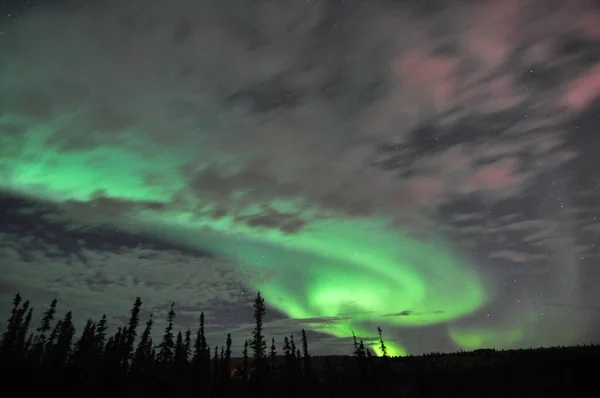 Una Silhouette Delle Bellissime Luci Del Nord Sul Campo — Foto Stock