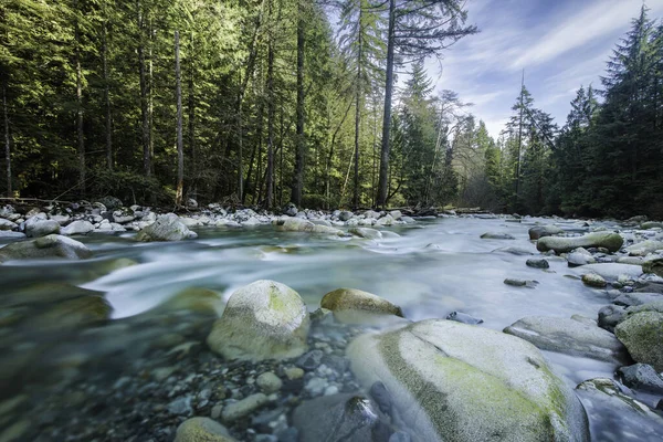 Вид Річку Лісі Острів Ванкувер Британська Колумбія Канада — стокове фото
