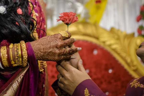 Düğünlerinde Geline Gül Veren Bir Adamın Tıklaması — Stok fotoğraf